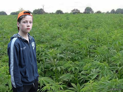 �������� �����