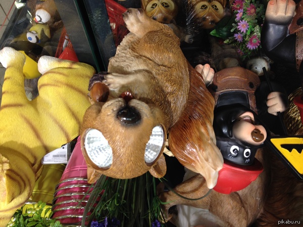 ������������ ������� �����������