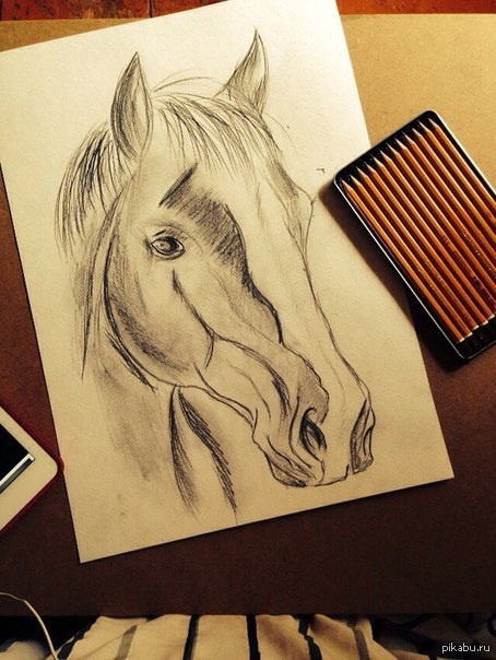 ������� ���������� ������� :3