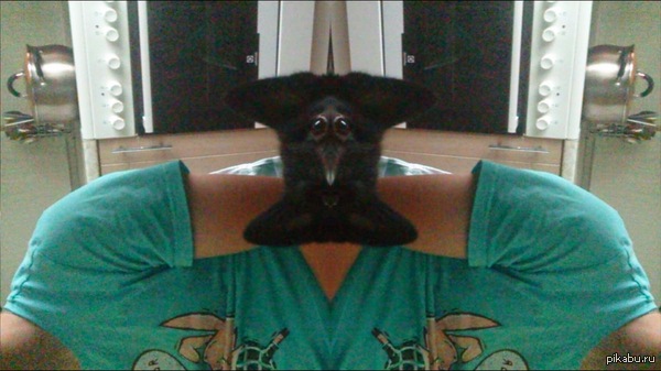 ������ ����� ����� ������� �� ������