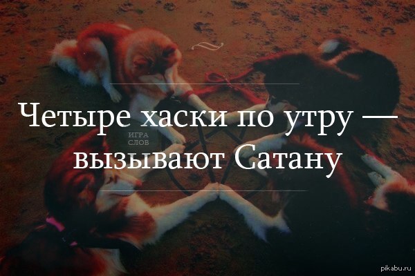 Вызови домой. Как вызвать сатану. Дети вызывают сатану. Четыре хаски по утру вызывают сатану. Слова чтобы вызвать дьявола.