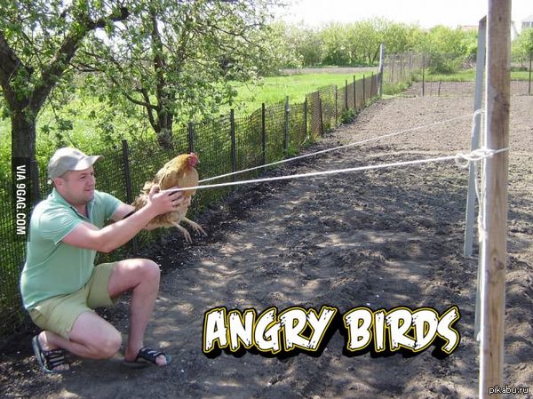 Angry Birds