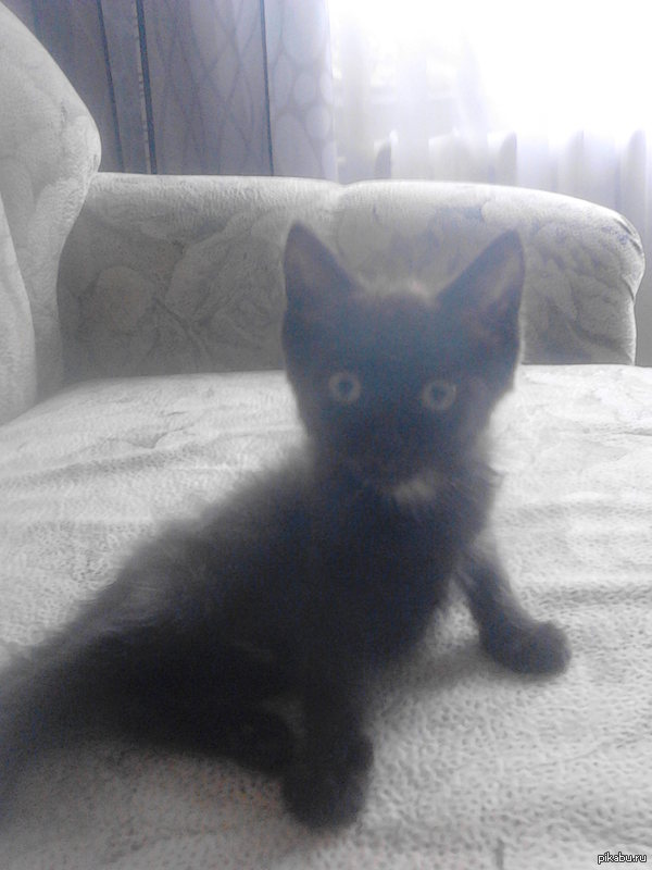 ���������,���������