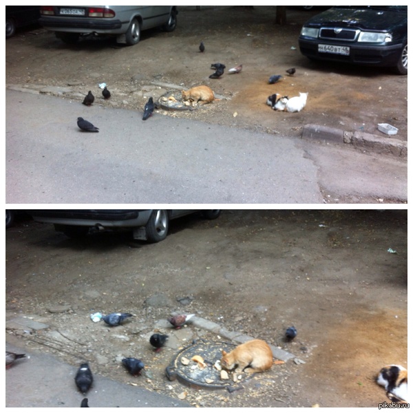 Давайте жить дружно