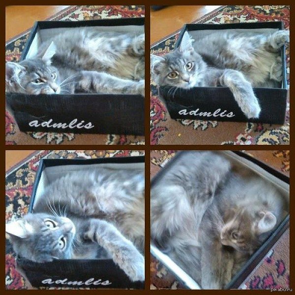 ��� ��� �������� ������� �������)))