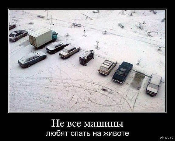 Мы не осуждаем тебя маленький воробушек. День был трудным. Открытки с понедельником. Первый выходной за последние полгода картинки. Мы не осуждаем тебя маленький воробушек.