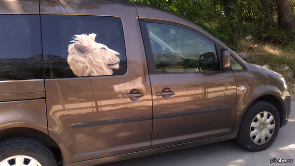 ��� � ���� ������ ����� ��������������.