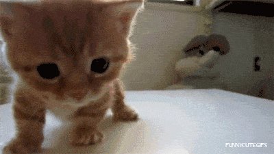 !!!!!!!!!!!!! 