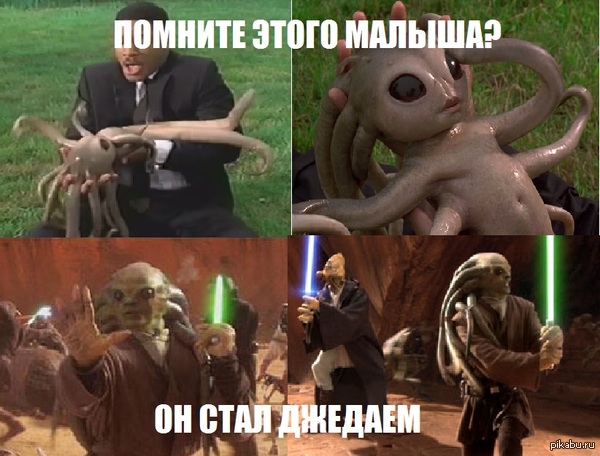 Kit Fisto! 