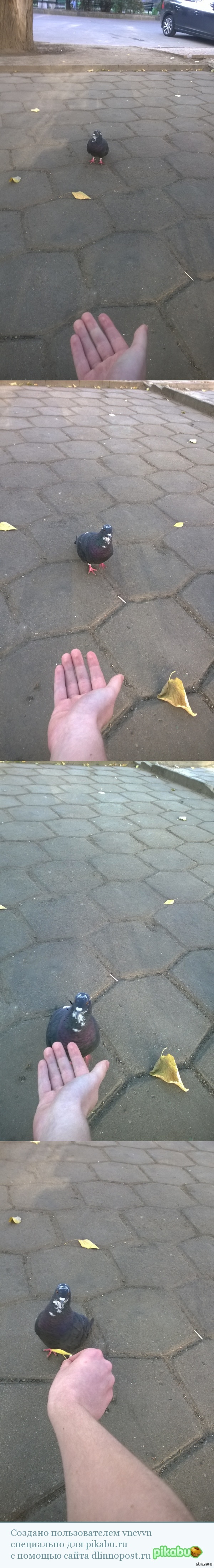      (  ) 