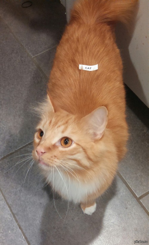 ��������������