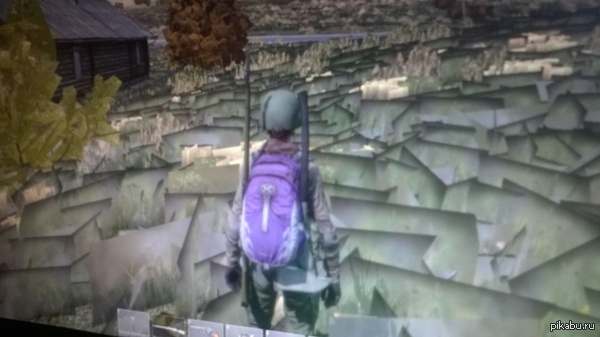 Нужна помощь с игрой DAY Z Standalone  Ребят помогите кто знает что это такое? деревья и трава квадратные.