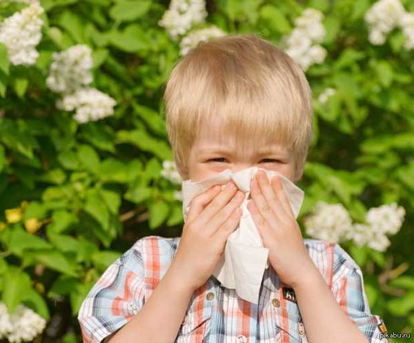 Привет, аллергики...