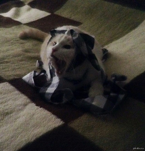 � ���������� ��������))