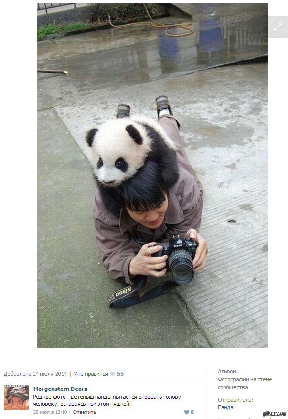 ������ ����