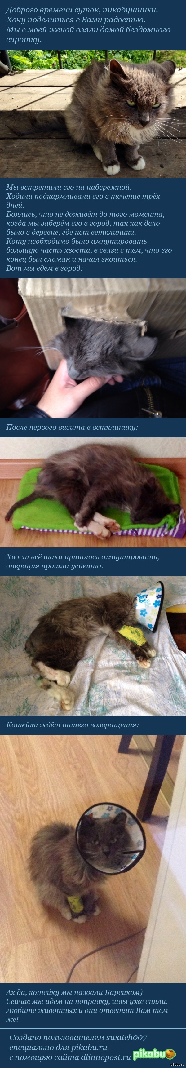 История прибавления в нашей маленькой семье