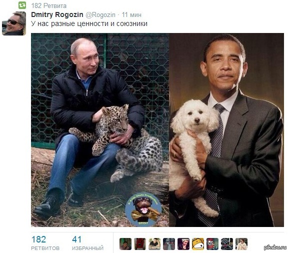 Different values - Russia, Vladimir Putin, USA, Black people, Monkey