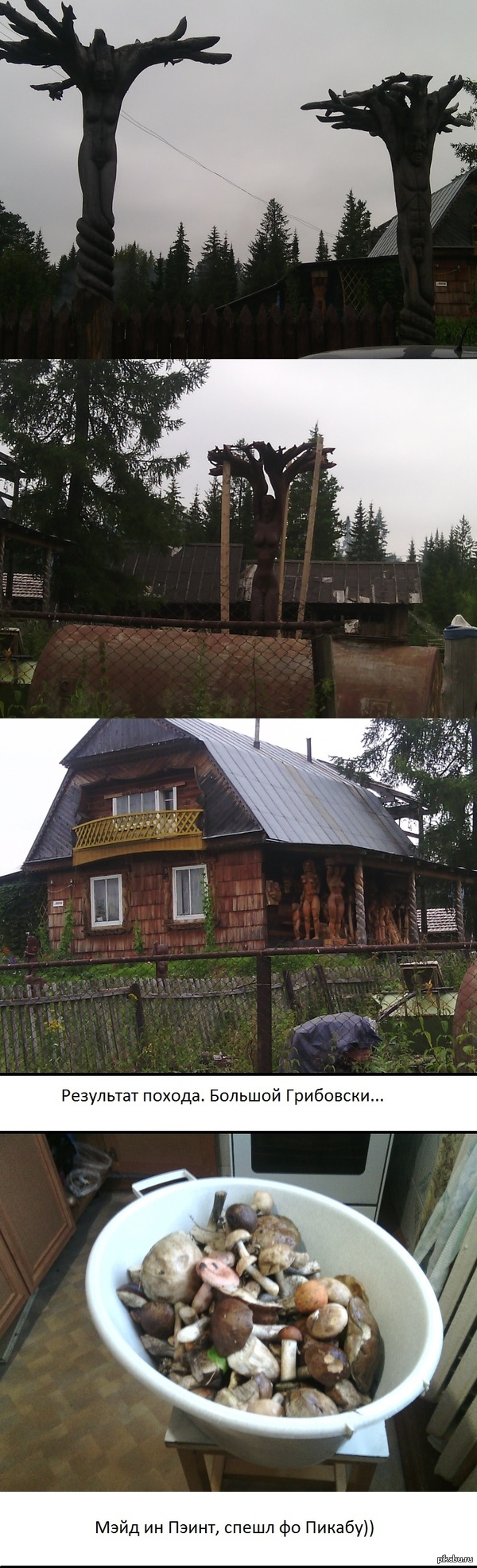 I went for mushrooms, and driving through the village I saw this. - NSFW, My, Forest, Mushrooms, Wood sculpture, Strawberry