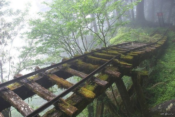 Abandoned railway bridge in Taiwan - Railway, Taiwan, Abandoned