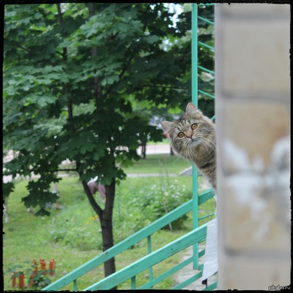 ������� �� �������� ��� ������ �����