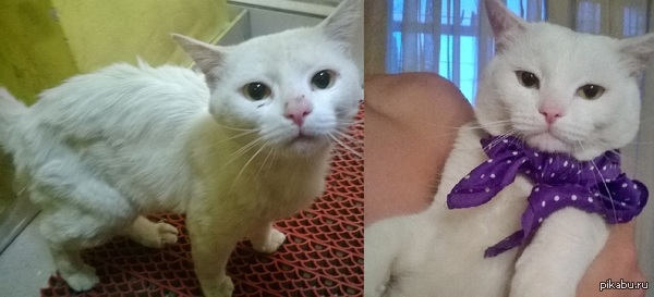 ����, ����������, �� �������� ����� ��������!