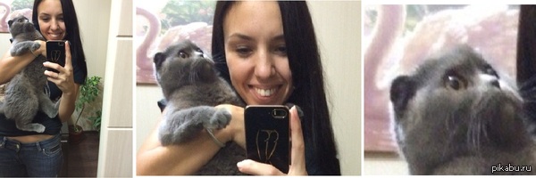 ����� � �����