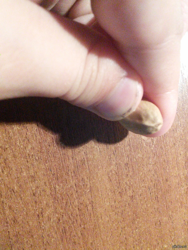 �� ��� � �������� ��������.