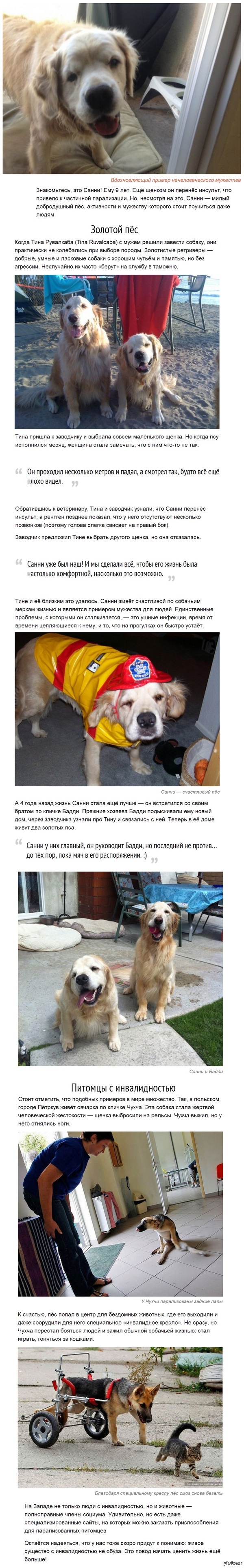 Вдохновляющий пример нечеловеческого мужества