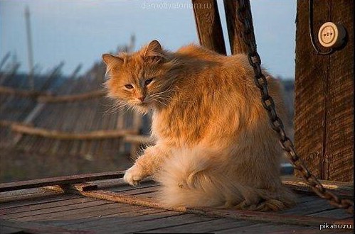 "��������� �����? �������, ��� ���� ���� ��������"