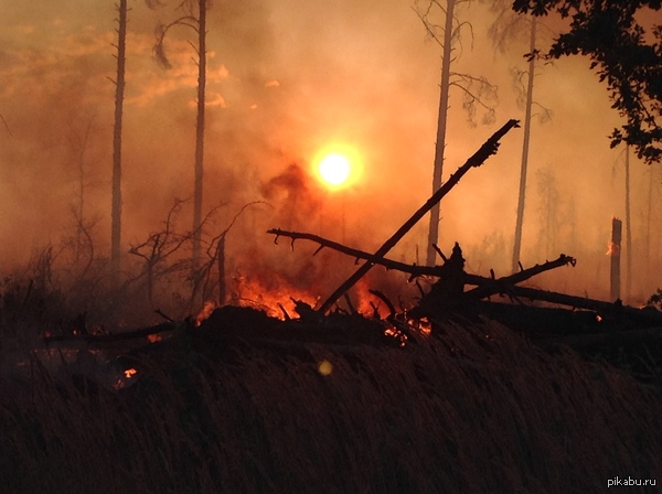 ���� � ����� �������