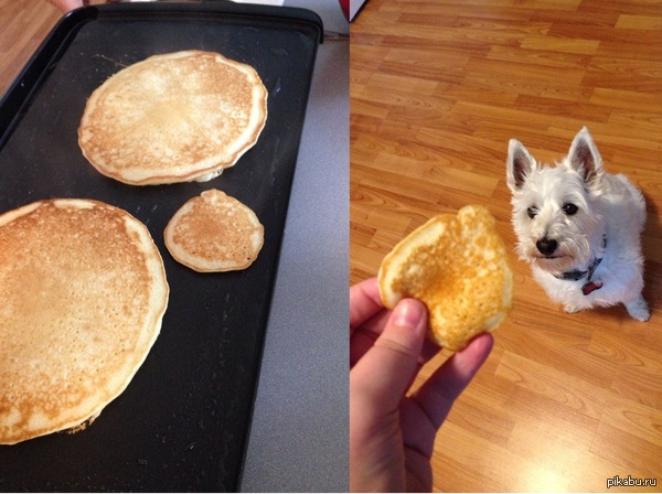 ����� ��� ���� ����� ��������, �� ������ ����� ���� ��������� ������� ��� ����� ������