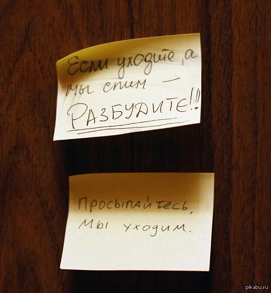 ���-�� ������ ���������� ��������.