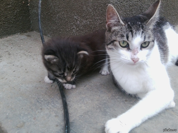 �������.