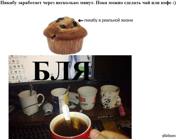 �������� ���