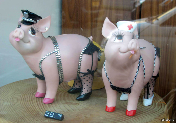 ������ ������ ���������