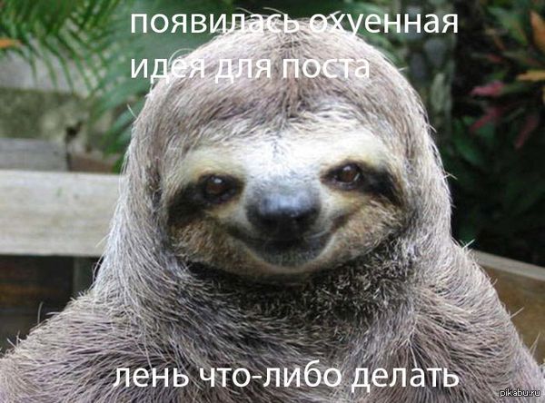 ����� ���� ����