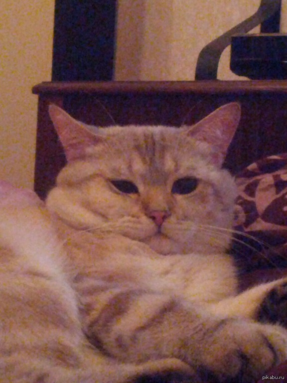 ��������))