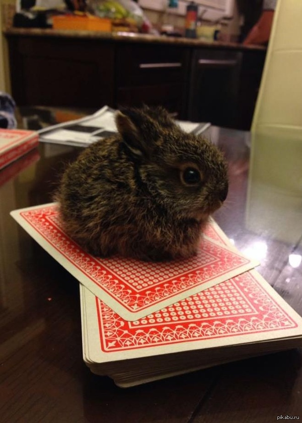 �������:�