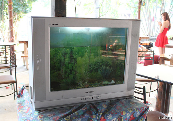 ����� ��� ����� �� ��������