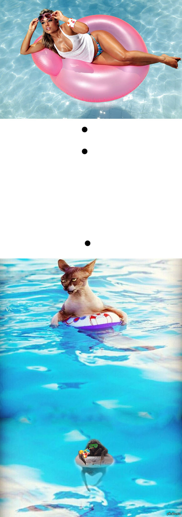 ���� � ��������!