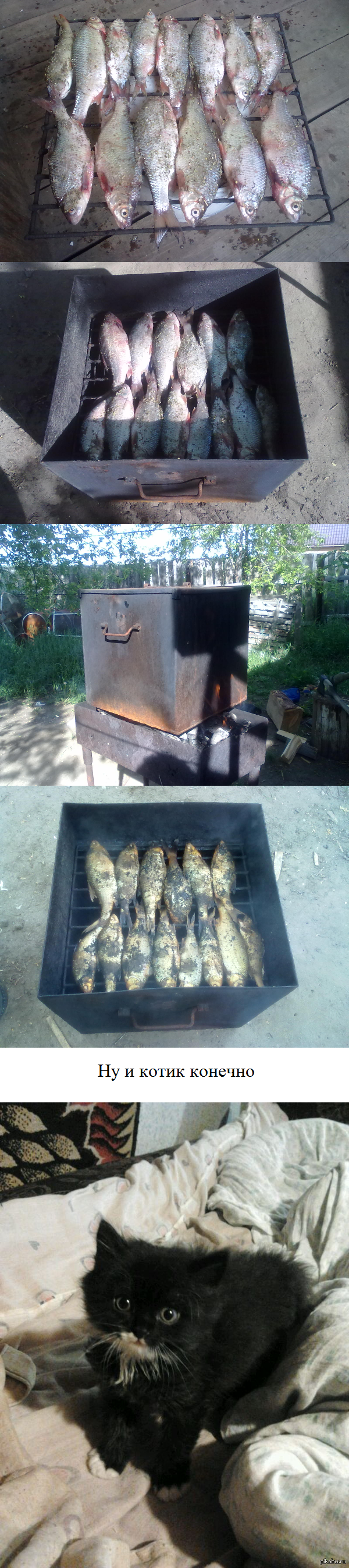 � ��������� ���������� ���� ��)