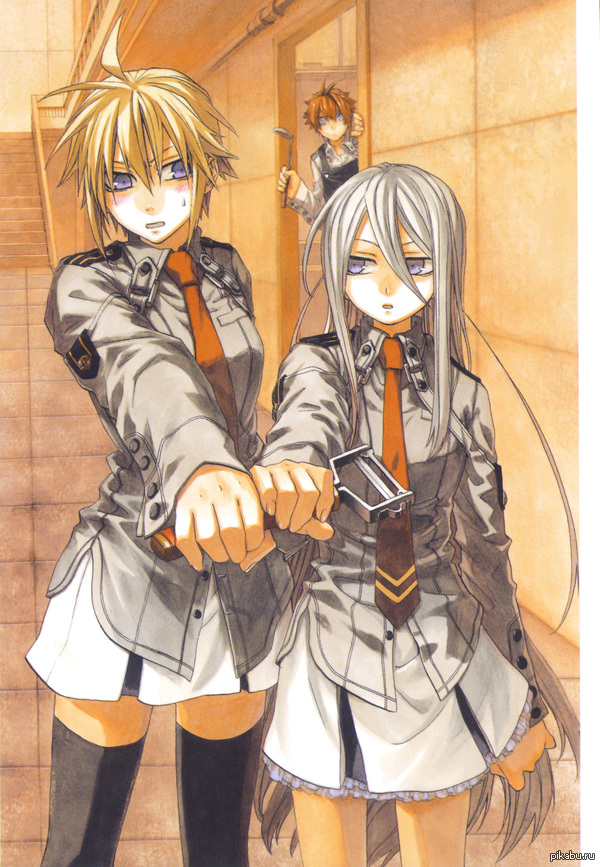 Chrome Shelled Regios ,  .