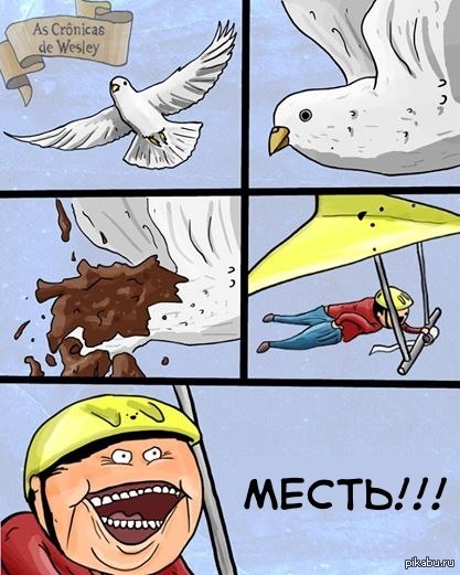 Revenge comic. Комиксы про птиц. Мемы с птицами. Смешные комиксы про птиц. Птица Мем.