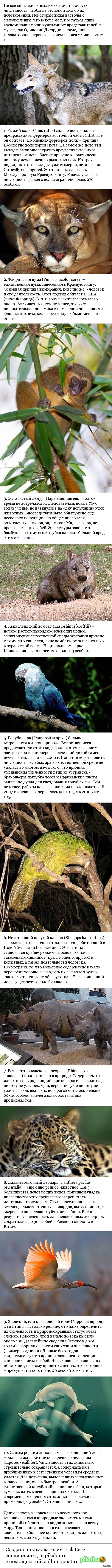 �������� �� ������ ��������:(��� 10 �������� �� ����� ���������