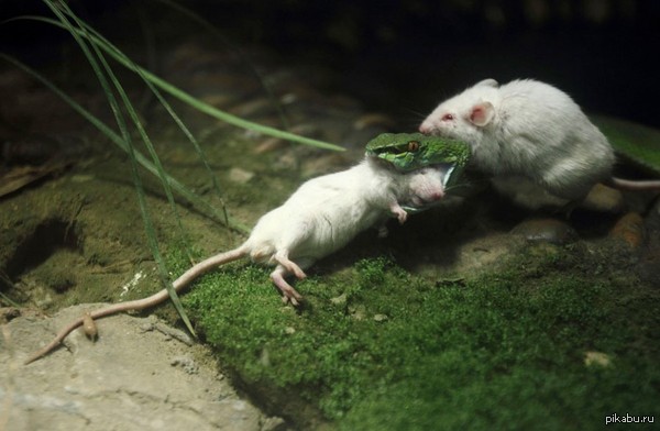 ����� ������� �������� �� ����� ����