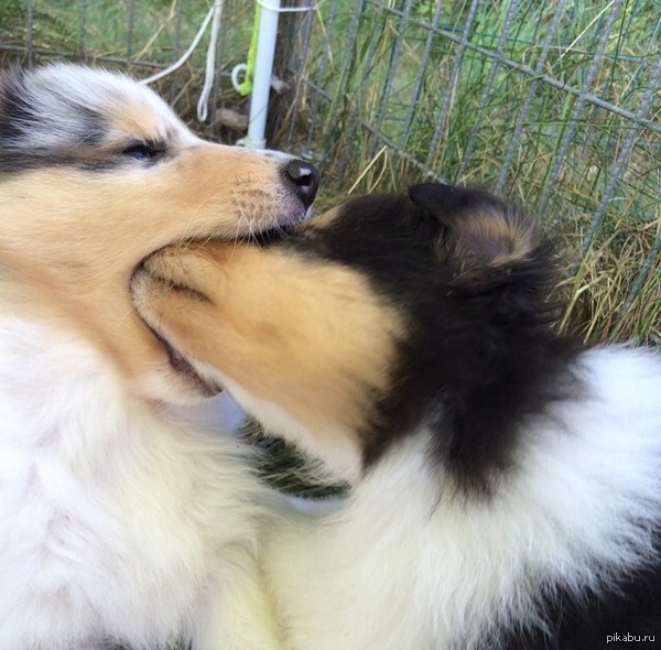 Иди ко мне милый! Нас снимают!