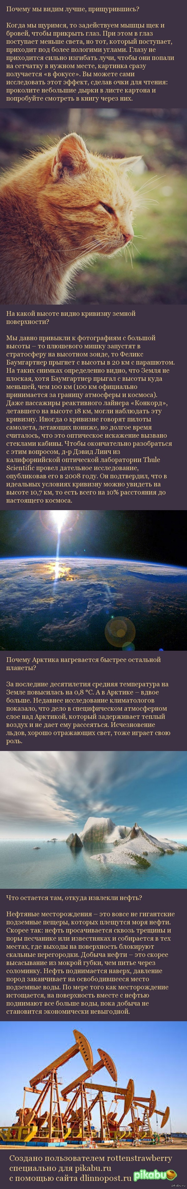 Это интересно | Пикабу
