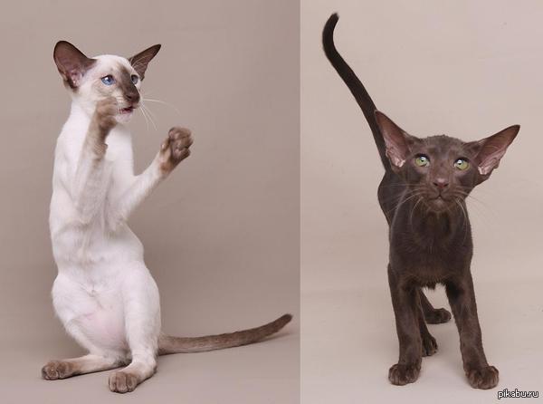 ������� �� ����� � ����� ������, ��....