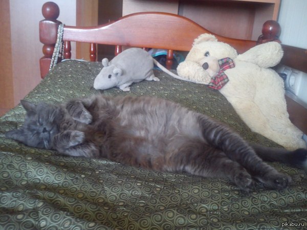 ������ ��������) � ����, ��� ��� �� �����