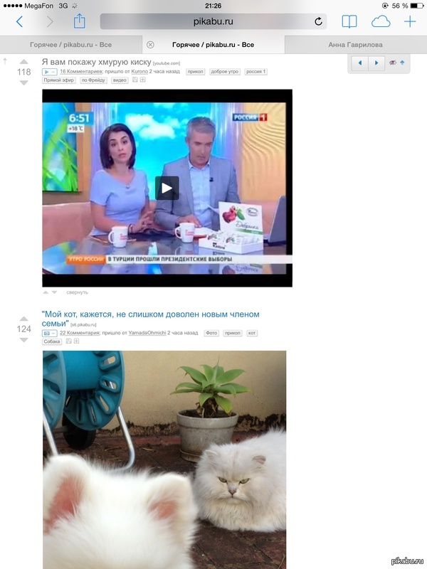 ������ �����